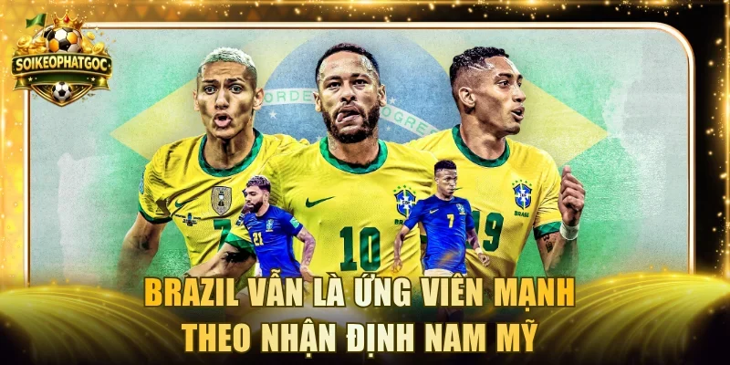 Brazil vẫn là ứng viên mạnh theo nhận định Nam Mỹ
